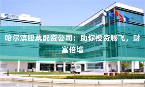 哈尔滨股票配资公司：助你投资腾飞，财富倍增