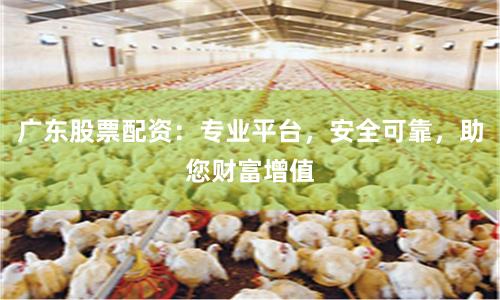 广东股票配资：专业平台，安全可靠，助您财富增值