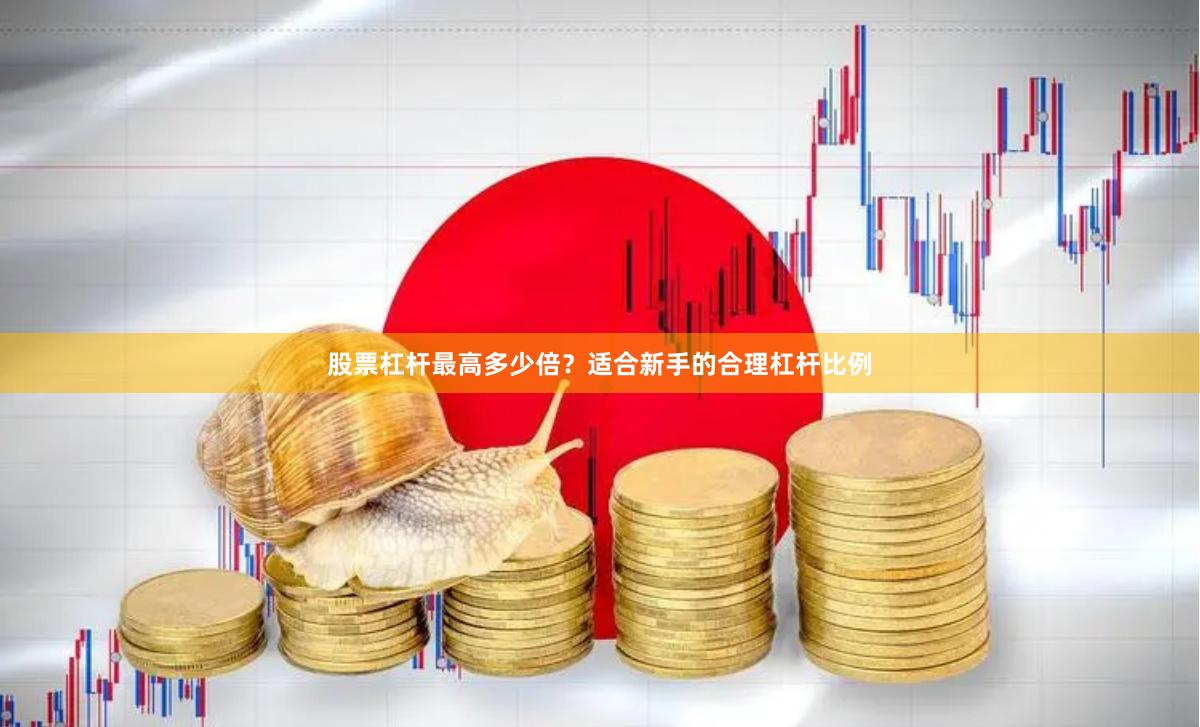 股票杠杆最高多少倍？适合新手的合理杠杆比例